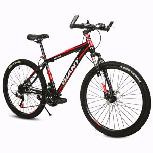 Top Quality Giant Brand Carbon Road Bike (MTB-88)