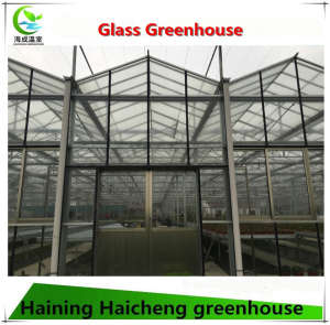 Glass Polycarbonate Hydroponic Greenhouse for Agriculture